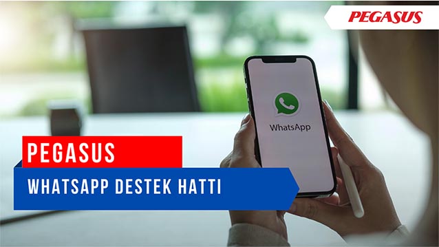 Pegasus ücretsiz iletişim